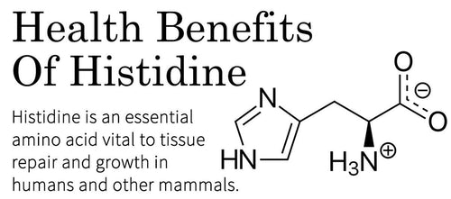 L-Histidine 1000Mg Tablets | Immune Health | Cognitive Support VITAPHARMA