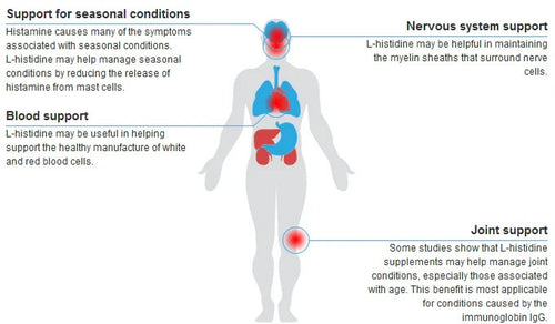 L-Histidine 1000Mg Tablets | Immune Health | Cognitive Support VITAPHARMA