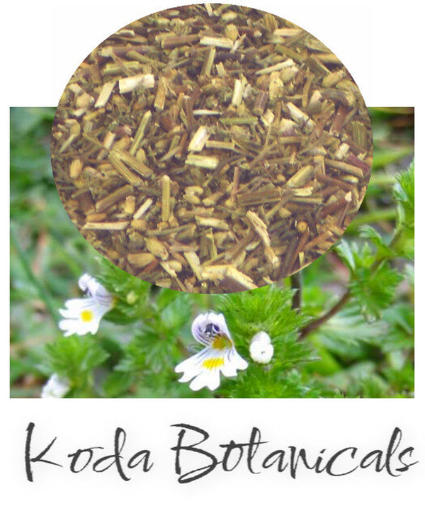 EYEBRIGHT Eye Health Herbal Tea PREMIUM GRADE Euphrasia Officinalis Dried Aerial